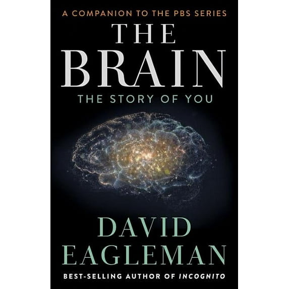 The Brain