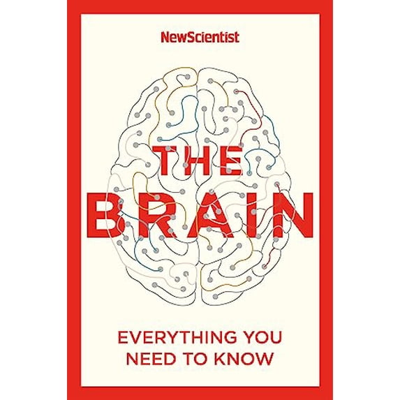 Pre-Owned The Brain: Everything You Need to Know (Paperback) 1529363314 9781529363319