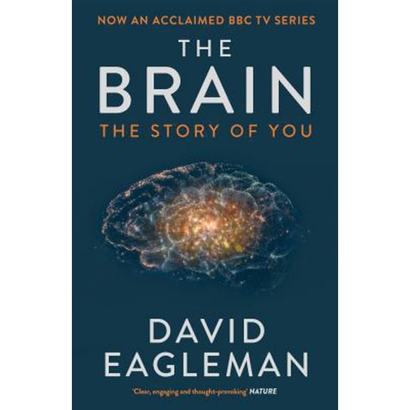 Pre-Owned Brain (Paperback) 1782116613 9781782116615