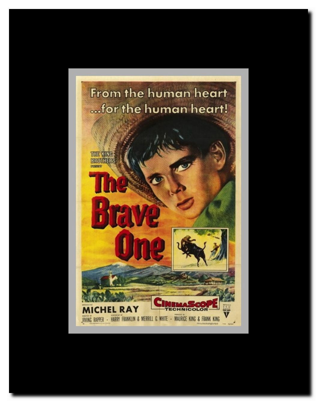 The Brave One Framed Movie Poster