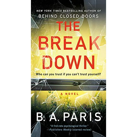 Pre-Owned The Breakdown: A Novel, 9781250122476, 1250122473, Paperback,