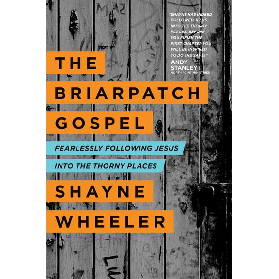 The Briarpatch Gospel: Fearlessly Following Jesus Into the Thorny Places