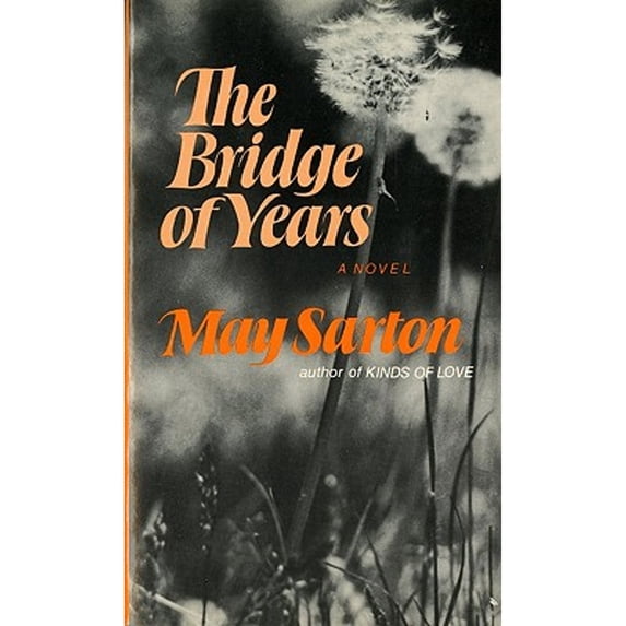 Pre-Owned The Bridge of Years (Paperback) 0393302393 9780393302394