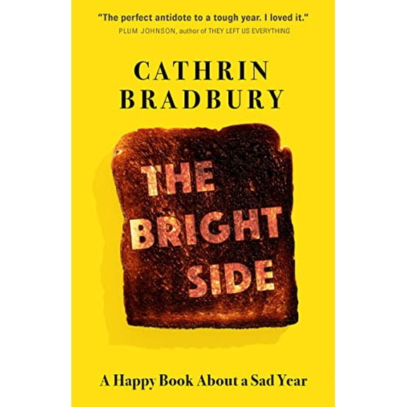 Pre-Owned The Bright Side: A Happy Book about a Sad Year (Paperback) 0735239401 9780735239401