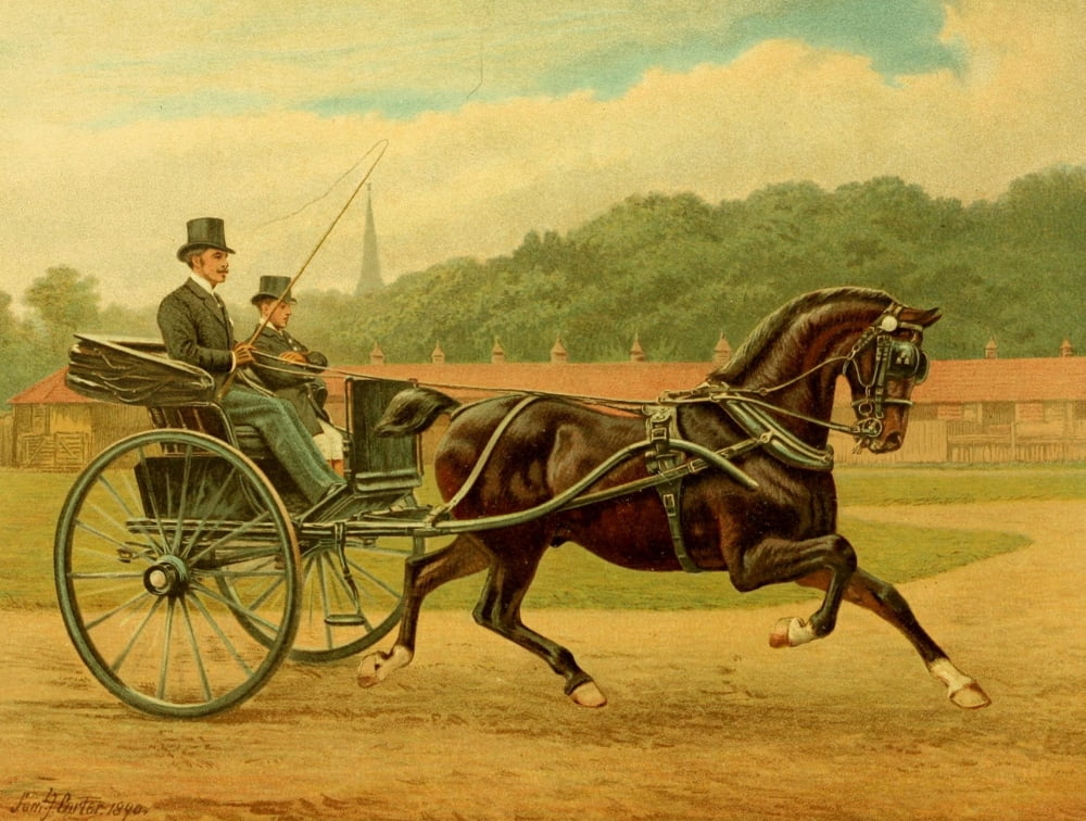 The Brookfield Stud 1891 A turn in the ring Canvas Art - Samuel J Carter (18 x 24)