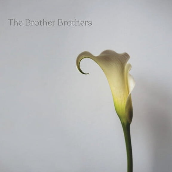 The Brother Brothers - Calla Lily - Music & Performance - CD