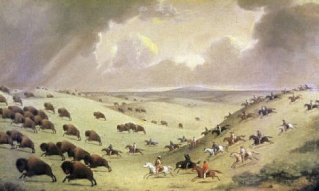 The Buffalo Hunt Paul Kane (1810-1871 Canadian) Canvas Art - Paul Kane (18 x 24)