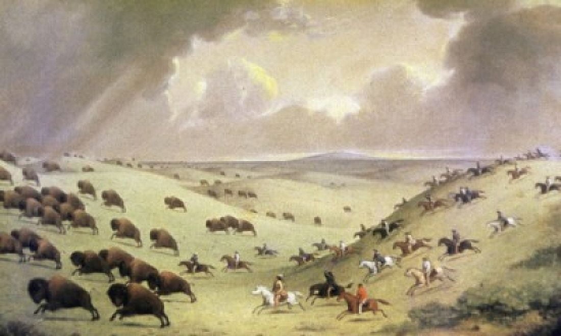 The Buffalo Hunt Paul Kane (1810-1871 Canadian) Canvas Art - Paul Kane (24 x 36)