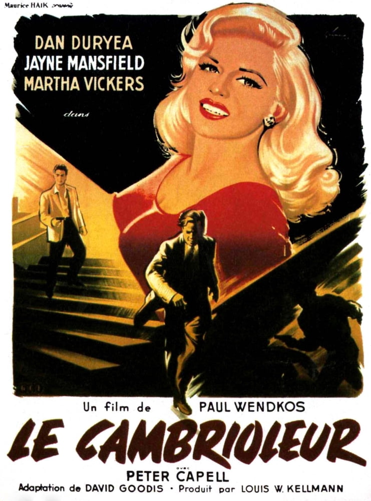 The Burglar Canvas Art -  (11 x 17)