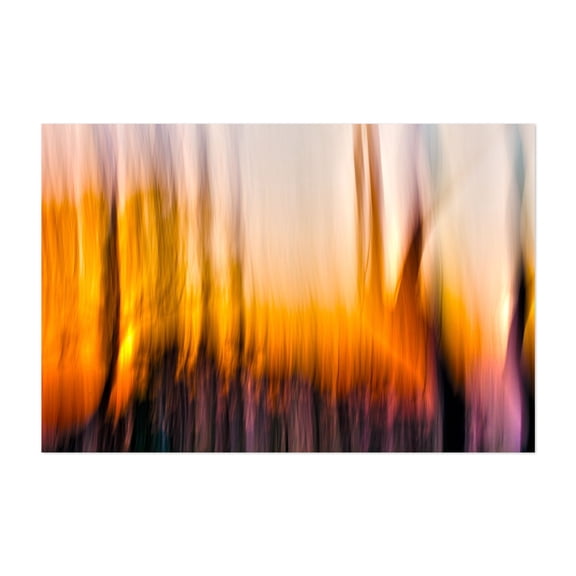 The Burn - Photography Abstract Nature Forest Autumn Sunset Scenic Mystical Unframed Wall Art Print 8 x 12 inches