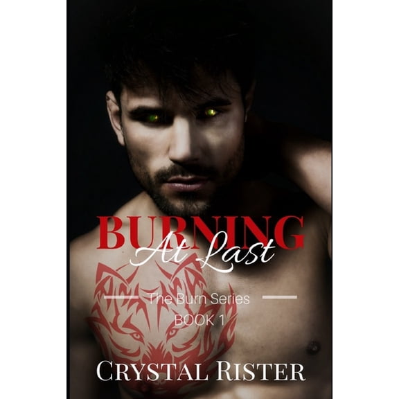 The Burn Series: Book 1 Burning At Last, Book 1, (Paperback)