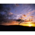 thumbnail image 1 of The Burren County Clare Ireland Near Kinvara by The Irish Image Collection / Design Pics (16 x 12), 1 of 3
