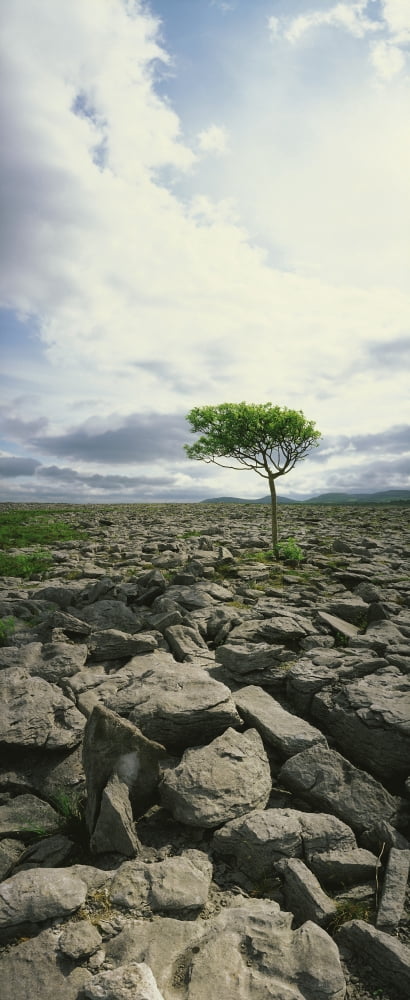 The Burren On Kinvara Side Co Clare Ireland Canvas Art - The Irish Image Collection Design Pics (19 x 44)