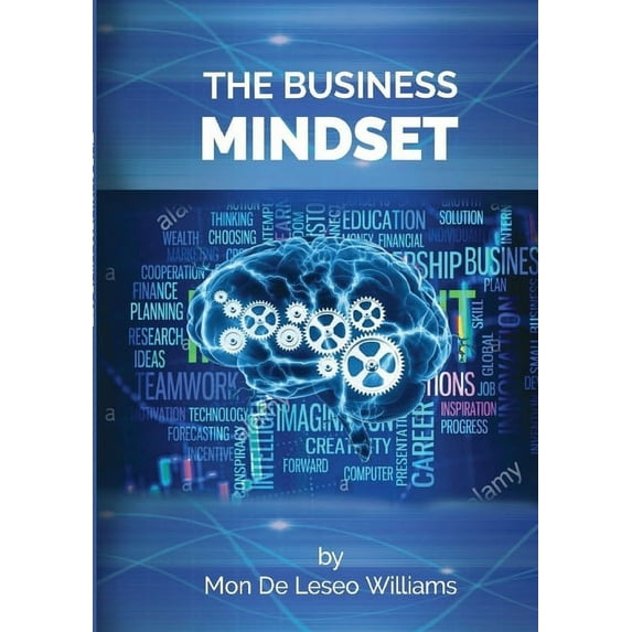 The Business Mindset (Paperback)