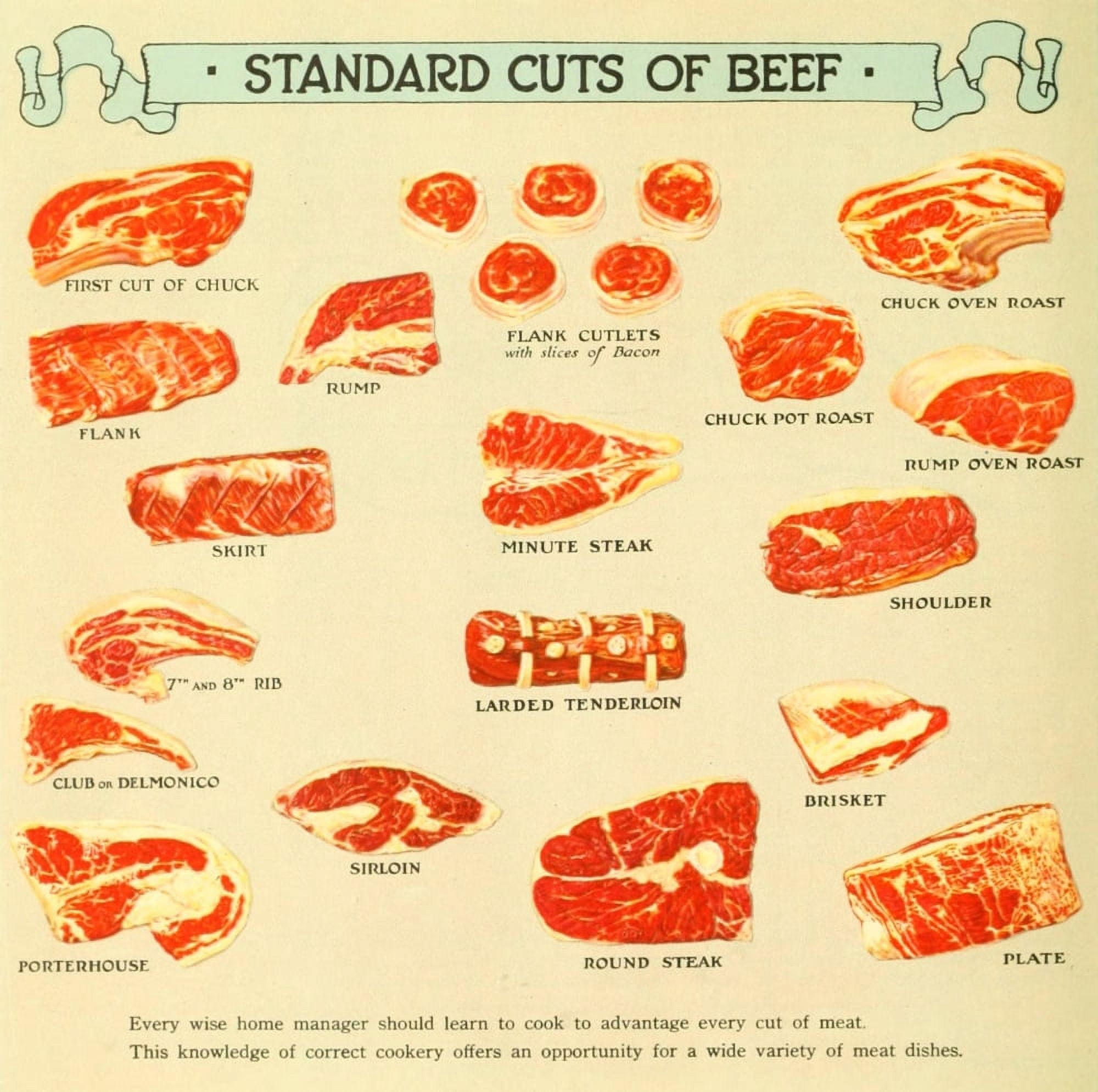 The Business of being a Housewife 1921 Standard Cuts of Beef Canvas Art - (18 x 24)