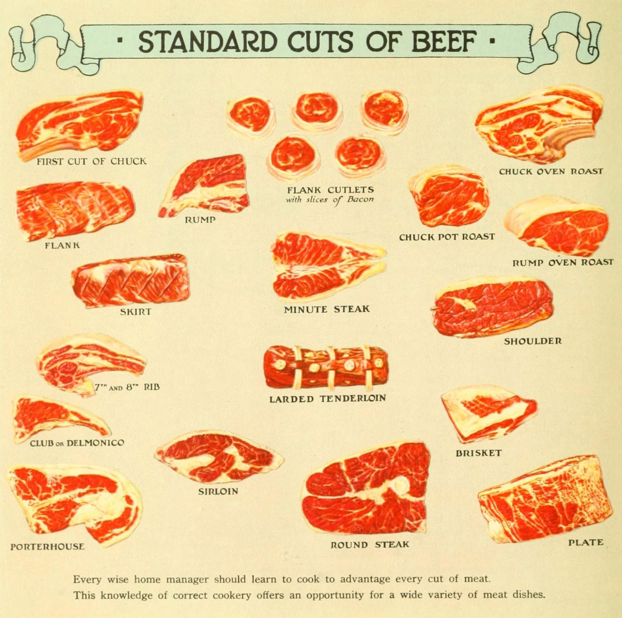 The Business of being a Housewife 1921 Standard Cuts of Beef Canvas Art - (24 x 36)
