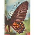 thumbnail image 1 of Pre-Owned The Butterfly Alphabet (Paperback) 0590480367 9780590480369, 1 of 1