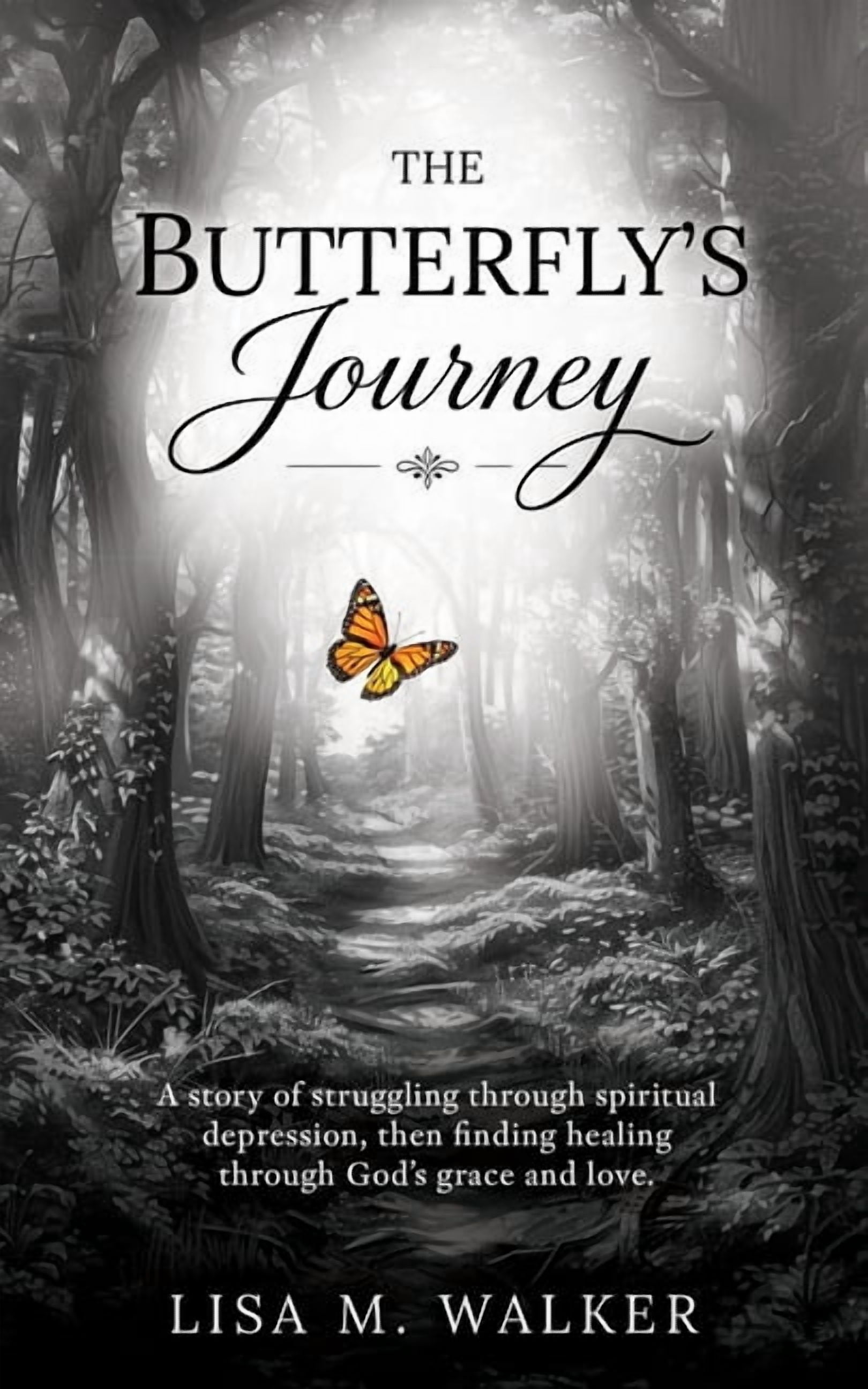 The Butterfly's Journey: A story of struggling through spiritual depression, then finding healing through God's grace an, (Paperback)