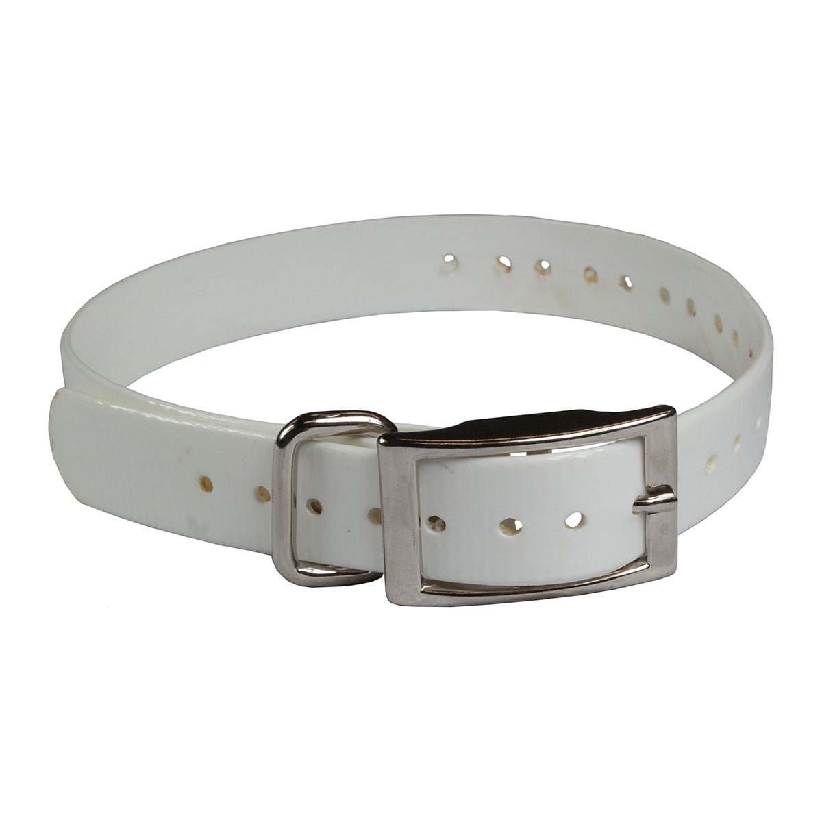 The Buzzard's Roost BUZZ-COLLAR-S-W Collar Strap 1"