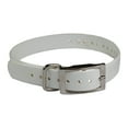 thumbnail image 1 of The Buzzard's Roost BUZZ-COLLAR-S-W Collar Strap 1", 1 of 2