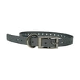 thumbnail image 1 of The Buzzard's Roost Replacement Collar Strap 3/4" Silver 3/4" x 24", 1 of 1