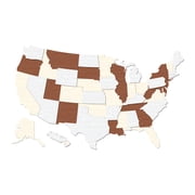 The Cabin Woodworker - Homestyle 3D USA Map - Medium 22" x 13.32" - FarmHouse - Blank