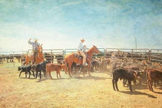 The Calf Ropers Canvas Art - Roberta Murray (12 x 18)