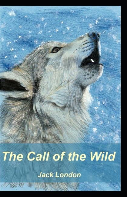 The Call of the Wild (illustrated edition) (Paperback)