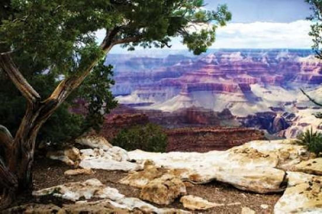 The Canyon I Canvas Art - Alan Hausenflock (20 x 28)