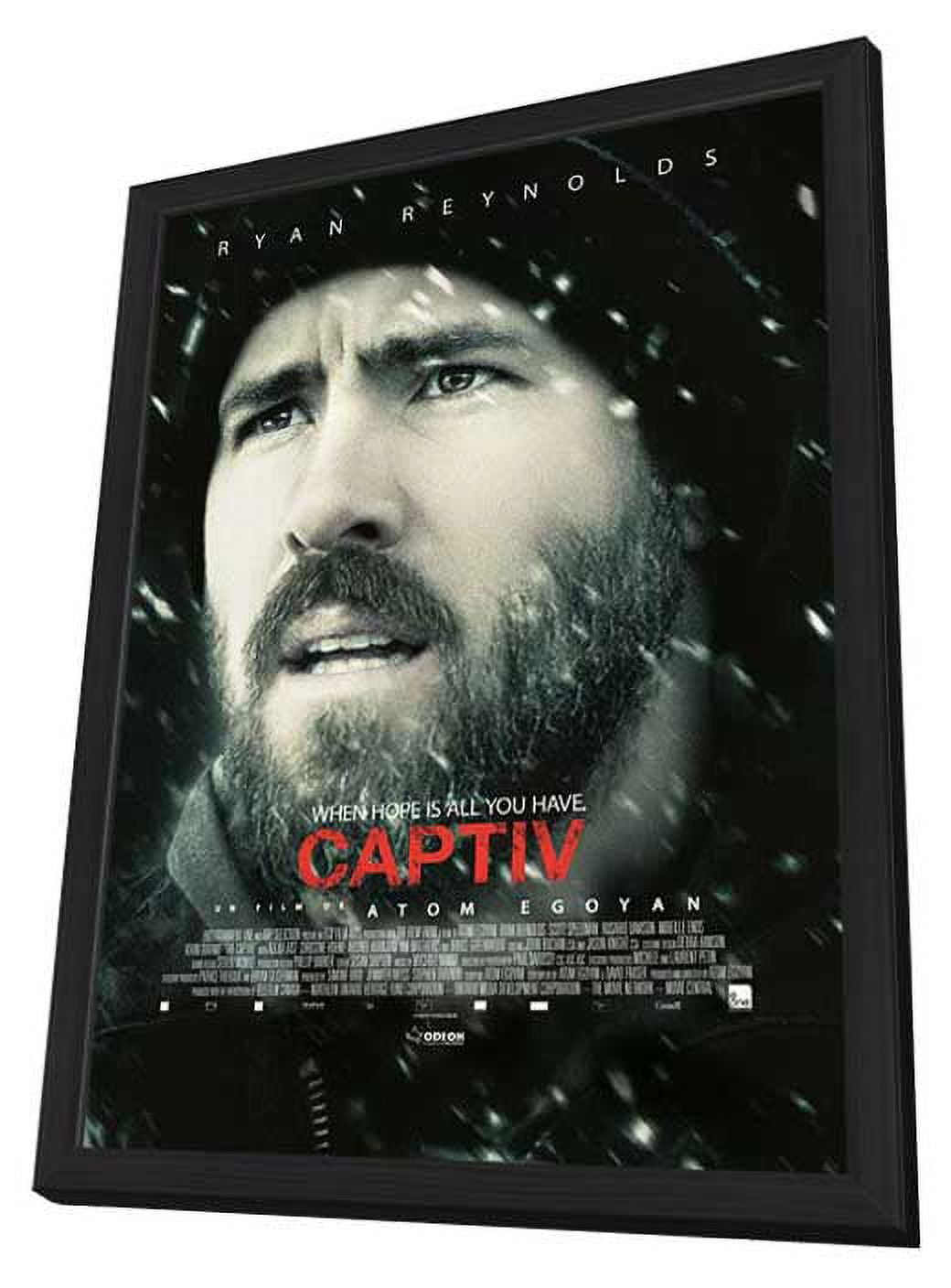 The Captive (2014) 11x17 Framed Movie Poster (Canadian) - Walmart.com