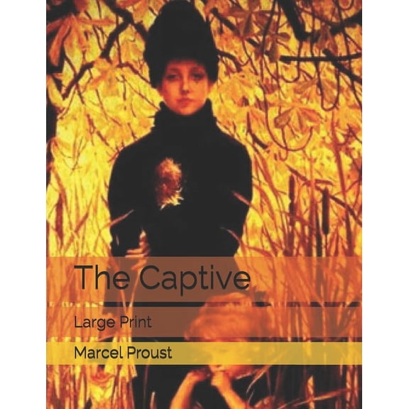 The Captive : Large Print (Paperback)