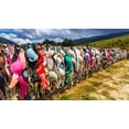 thumbnail image 1 of The Cardrona Bra Fence-Bradrona-supporting breast cancer-Otago-South Island-New Zealand Poster Print - Russ Bishop (36 x 19), 1 of 1