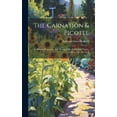 thumbnail image 1 of The Carnation & Picotee (Hardcover), 1 of 1