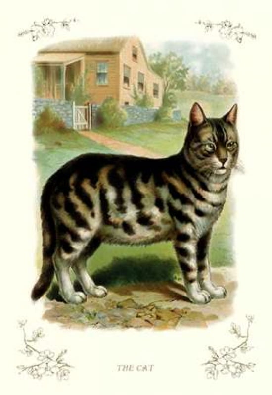 The Cat 1900 Canvas Art - Unknown (12 x 18)