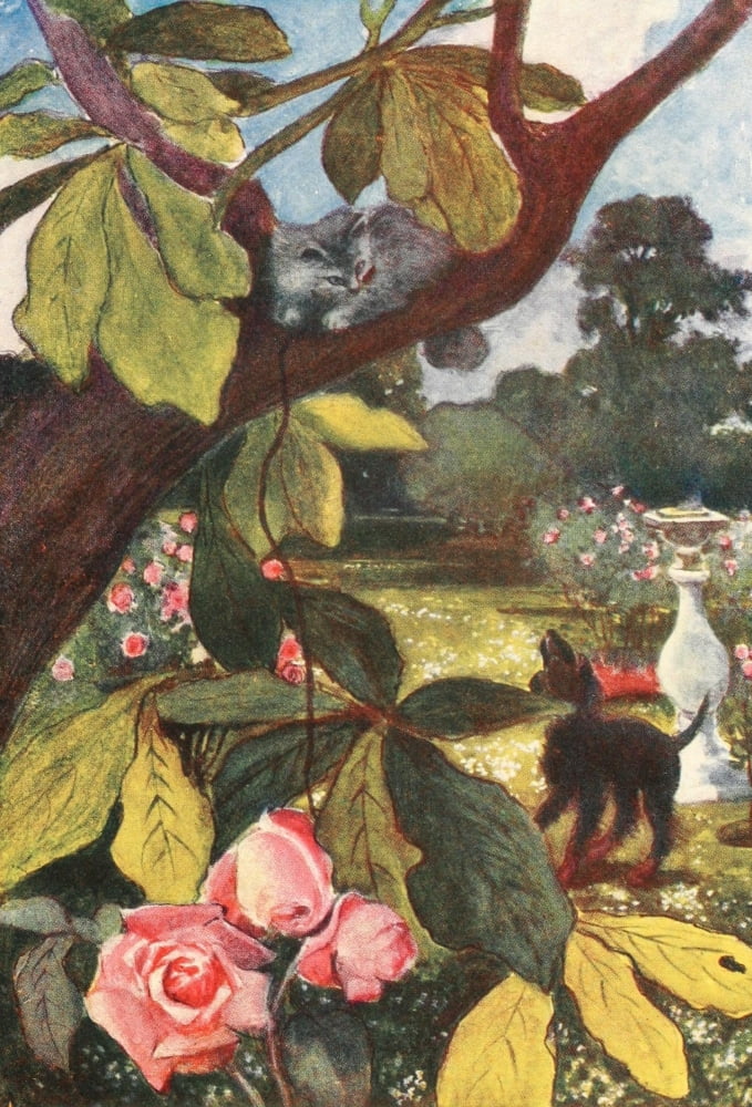 The Cat 1905 Out of the dogs way Canvas Art - Adolphe Birkenruth (18 x 24)