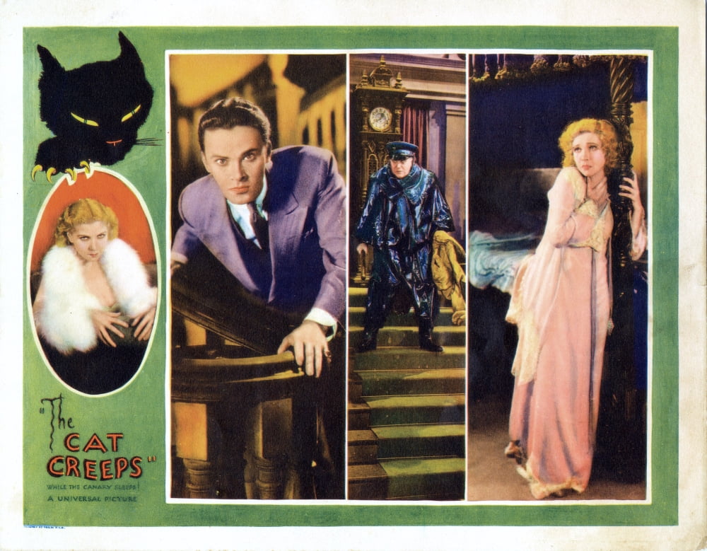 The Cat Creeps Canvas Art - (28 x 22)