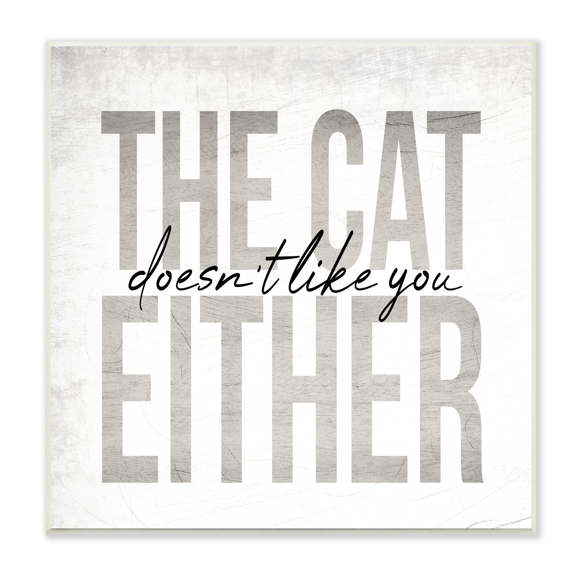 Stupell Industries The Cat Doesn't Like You Either Pet Phrase, 12 x 12, Design by Daphne Polselli