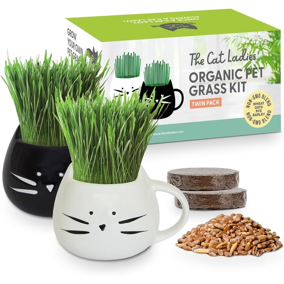 The Cat Ladies Cat Grass Growing Kit with Organic Cat Grass Seed Mix, Soil and Two Cat Grass Planters. Perfect Cat Gifts for Indoor Cats