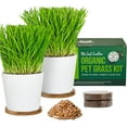 thumbnail image 1 of The Cat Ladies Cat Grass Growing kit with Organic Cat Grass Seed, Soil and Two Ceramic Planters with Bamboo Trays Natural Hairball Remedy, 1 of 7