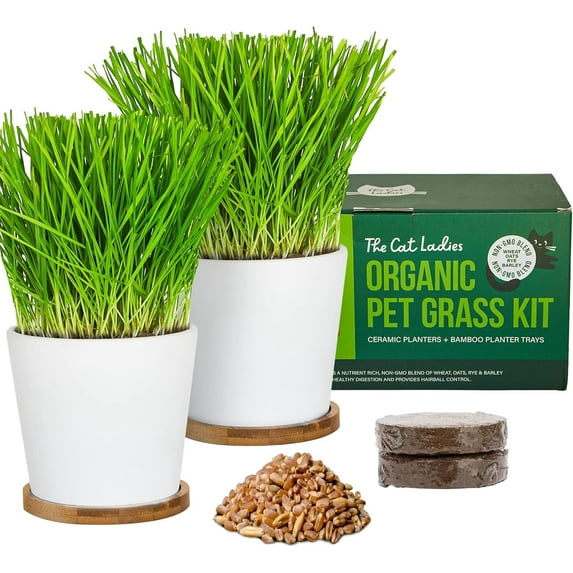 The Cat Ladies Cat Grass Growing kit with Organic Cat Grass Seed, Soil and Two Ceramic Planters with Bamboo Trays Natural Hairball Remedy
