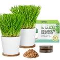thumbnail image 1 of The Cat Ladies Cat Grass Growing kit with Organic Cat Grass Seed, Soil and Two Ceramic Planters with Bamboo Trays Natural Hairball Remedy, 1 of 7