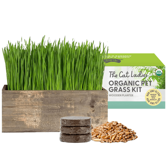 The Cat Ladies Cat Grass Kit Complete with Rustic Wood Planter, Organic Seed and Soil.