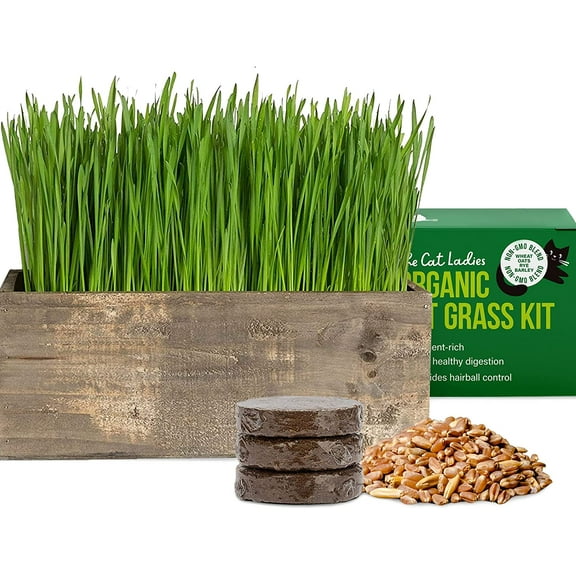 The Cat Ladies Cat Grass Kit Complete with Rustic Wood Planter, Organic Seed and Soil.