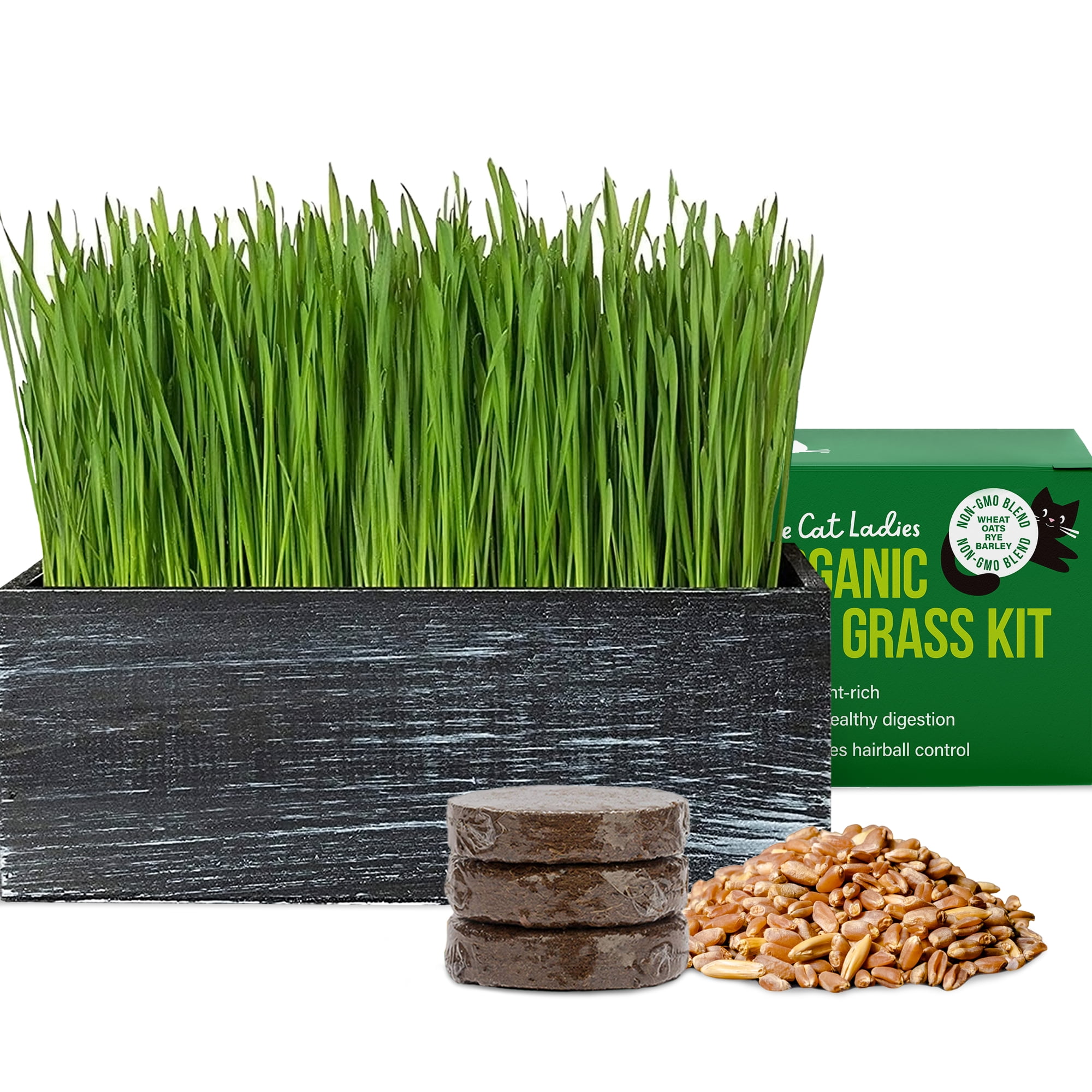 Cat grass kit deals