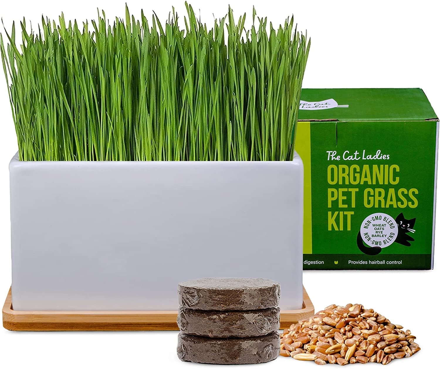 The Cat Ladies Organic Cat Grass Kit - With Organic Seed Mix, Soil, Ceramic Planter, Bamboo Tray