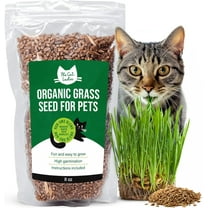 The Cat Ladies Organic Cat Grass Seed 8 oz, Non-GMO Blend of Wheat, Oats, Barley and Rye for Indoor Planting