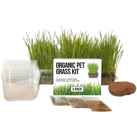 The Cat Ladies Organic Cat Grass Kit 3 Count, BPA-Free Pots with Locally Sourced Seeds, Easy to Grow and Pet Safe