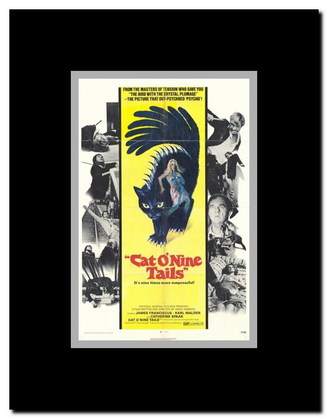 The Cat O' Nine Tails Framed Movie Poster