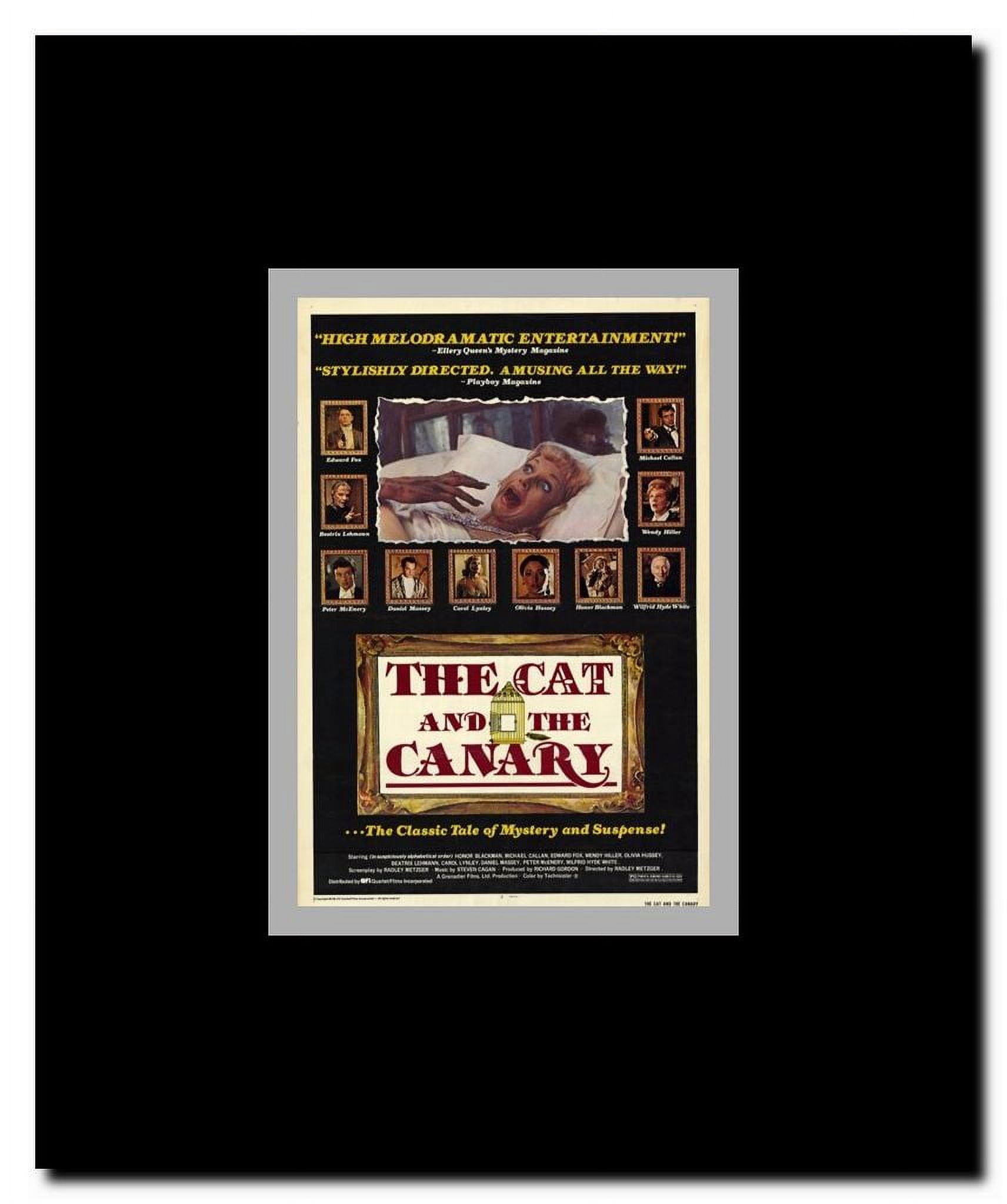 The Cat and the Canary Framed Movie Poster