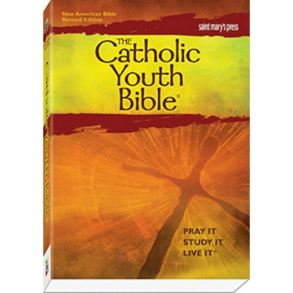 Pre-Owned The Catholic Youth Bible,Third Edition, NABRE: New American Bible Revised Edition (Paperback) 1599821419 9781599821412